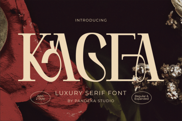 Kagea Typeface Review for Campaign Design