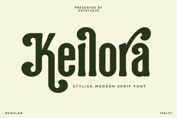 Keilora: A Modern Serif Font for Web Design
