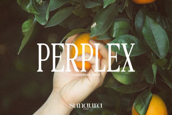 Perplex: A Serif With Character for Bold Branding